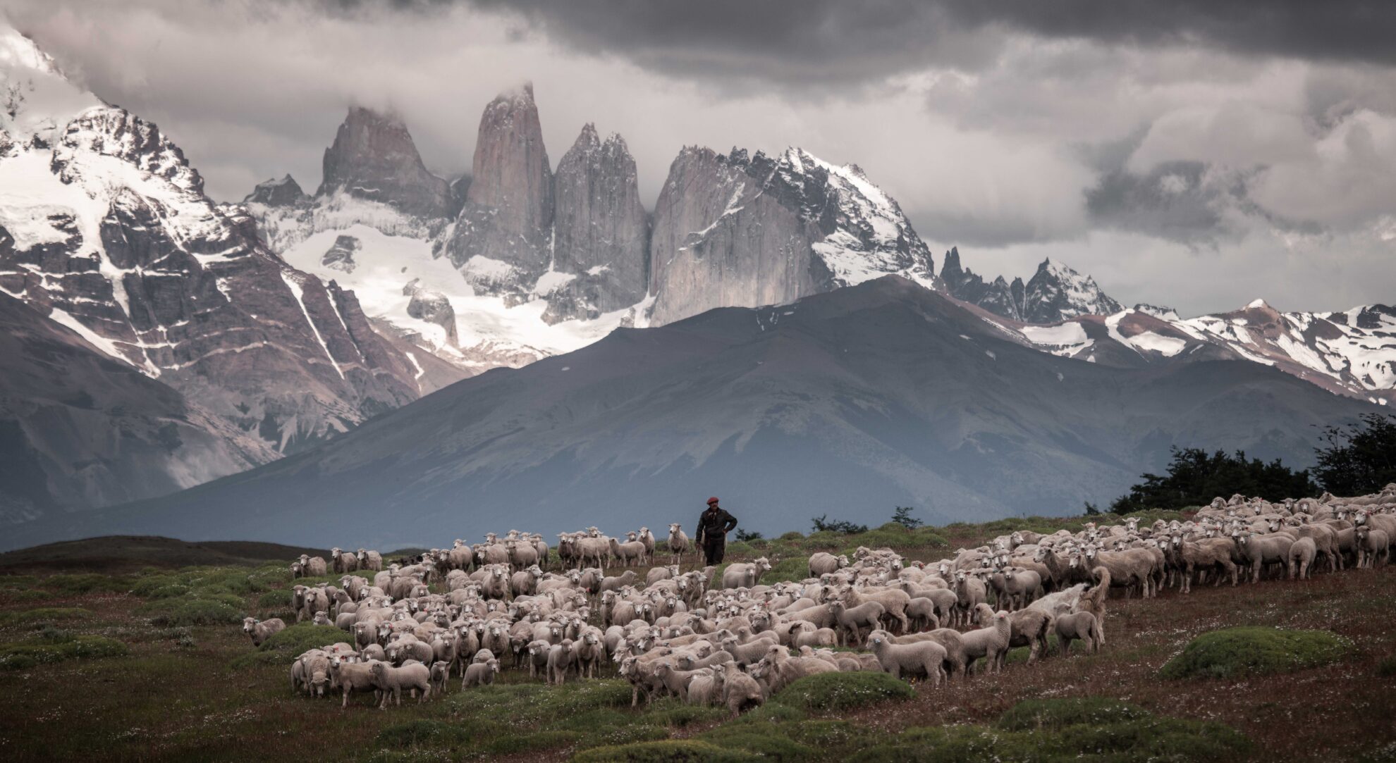 The Estancia (Ranch)_7