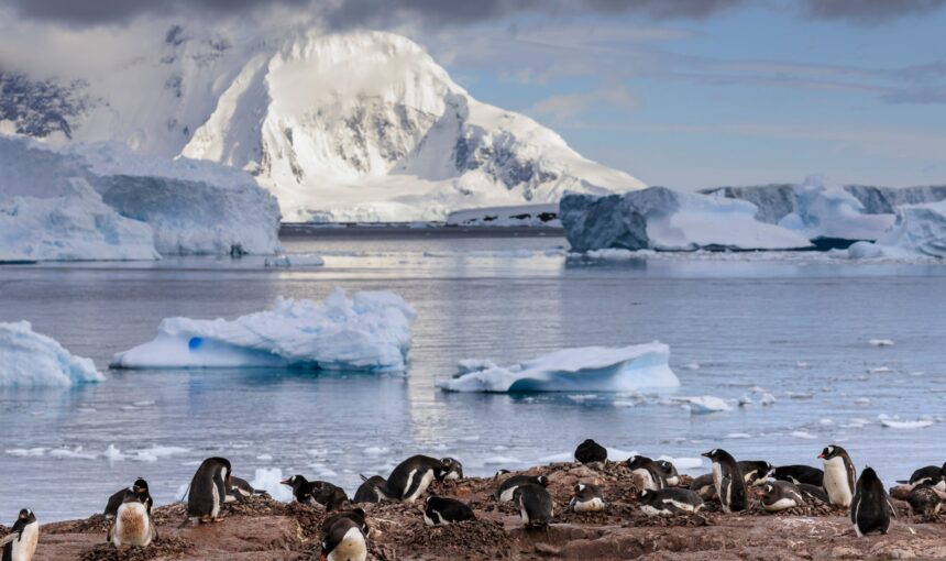 antartida 10