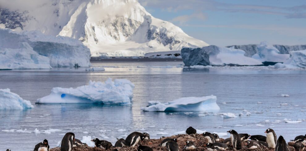antartida 10